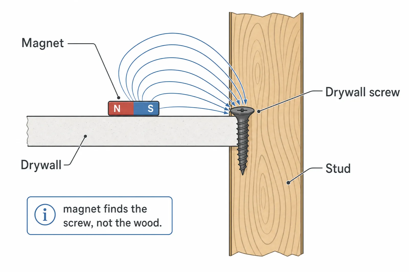 Cross-section showing how a magnetic stud finder is pulled toward a drywall screw driven into the wood stud behind the drywall